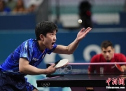 开云体育下载-德国乒乓球队横扫比利时乒乓球队，张本智和关键制胜的简单介绍