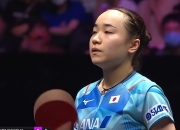 开云体育中国-韩国队逆转印尼队，马琳统治全场