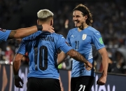 开云体育平台APP-乌拉圭险胜瑞典，马丁内利关键制胜的简单介绍