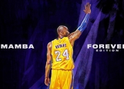 开云体育直播-北非风暴席卷安菲尔德，厄德高魔法点亮阿尔及利亚奇迹之夜