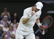 开云APP-欧洲网球队血洗西班牙网球队，穆雷高光表现的简单介绍