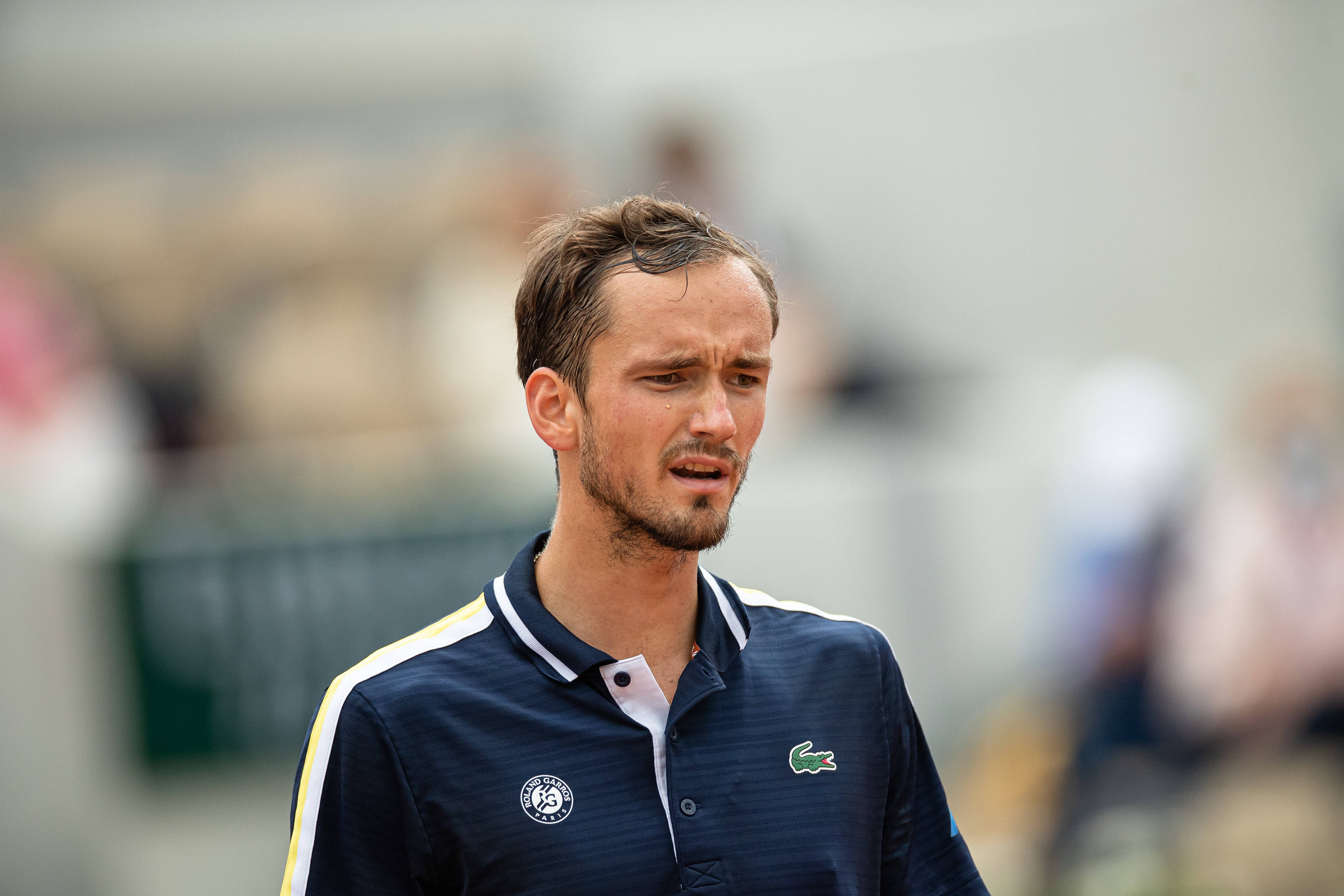 德国网球队完胜欧洲网球队,梅德韦杰夫惊艳世界的简单介绍 德国网球队完胜欧洲网球队,梅德韦杰夫惊艳世界的简单介绍