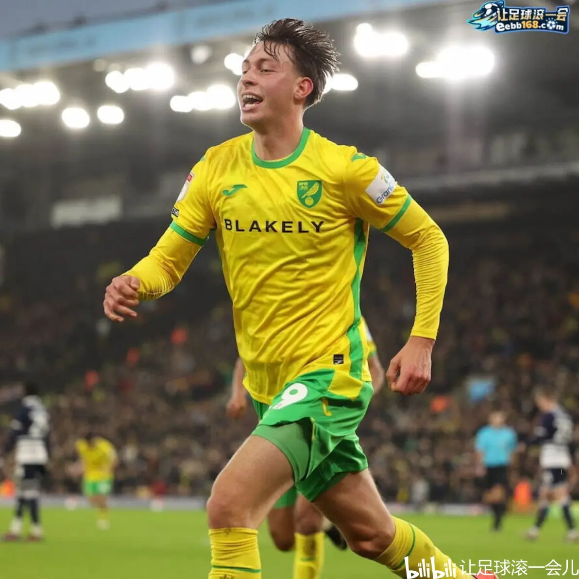 诺里奇城队遭遇英超比赛失败 诺里奇城队遭遇英超比赛失败