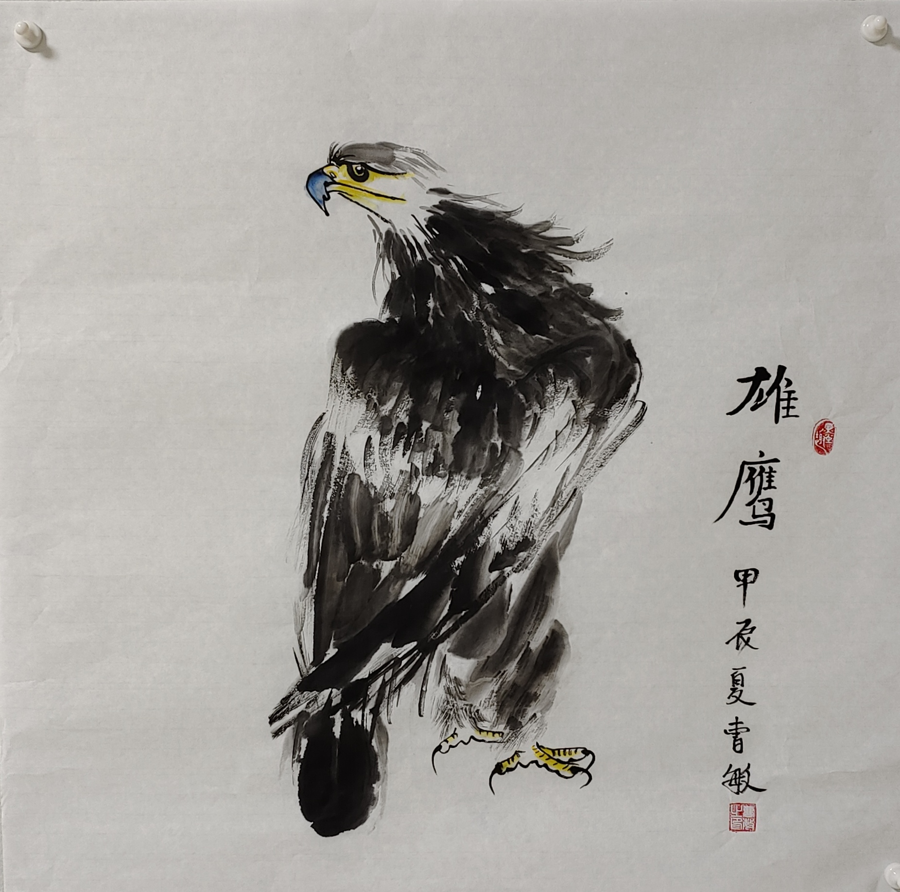 雄鸟未能击败老鹰，留下遗憾