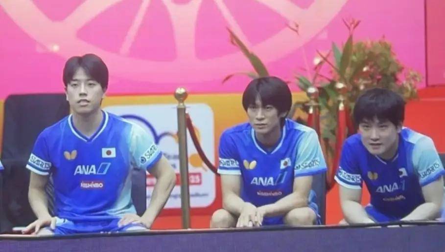 关于日本队横扫中国队，张本智和惊艳四座的信息